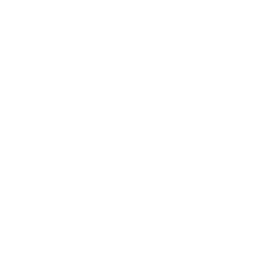 Lemon Slice