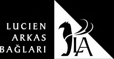 Logo 2
